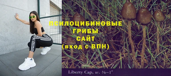 дурь Алексеевка