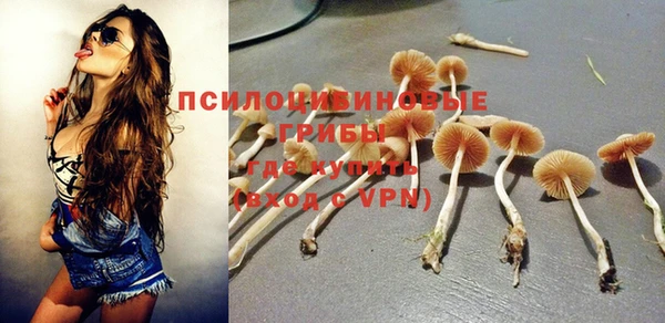 кокс Алзамай
