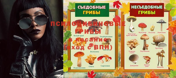 кокс Алзамай