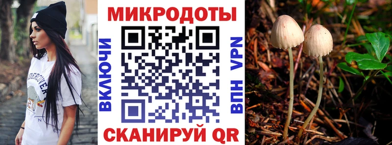 Псилоцибиновые грибы GOLDEN TEACHER  Купить где  Липецк 